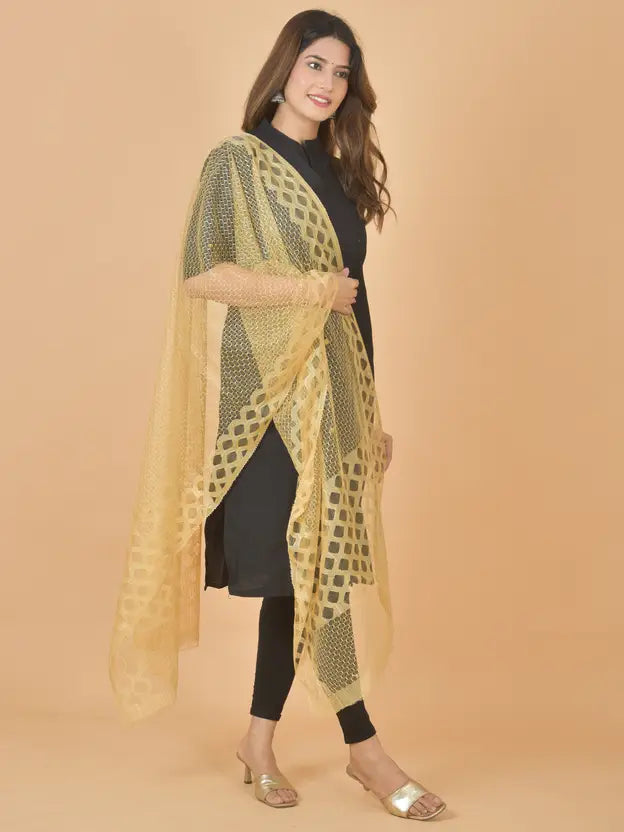 RAE Trends Women's Beige Net Self Design Dupatta – Lightweight Ethnic Accessory