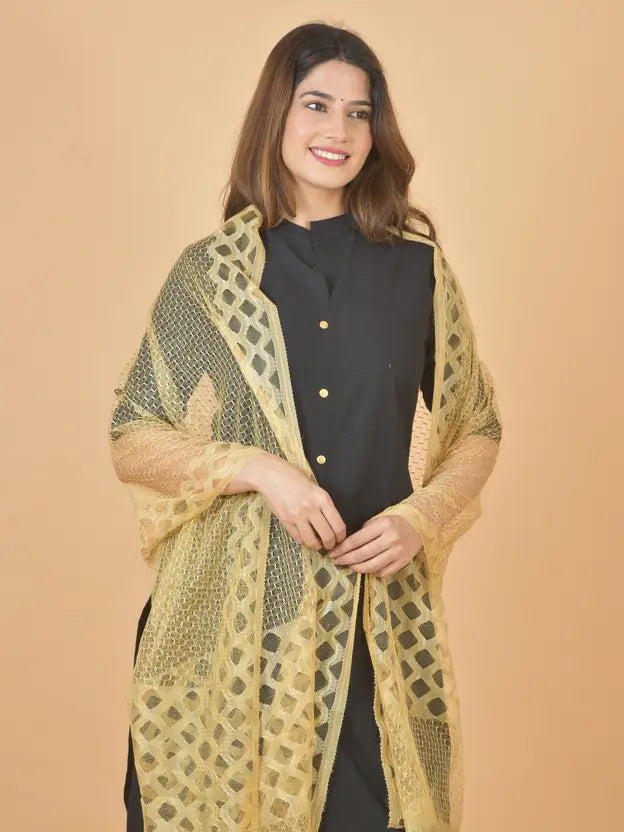 RAE Trends Women's Beige Net Self Design Dupatta – Lightweight Ethnic Accessory